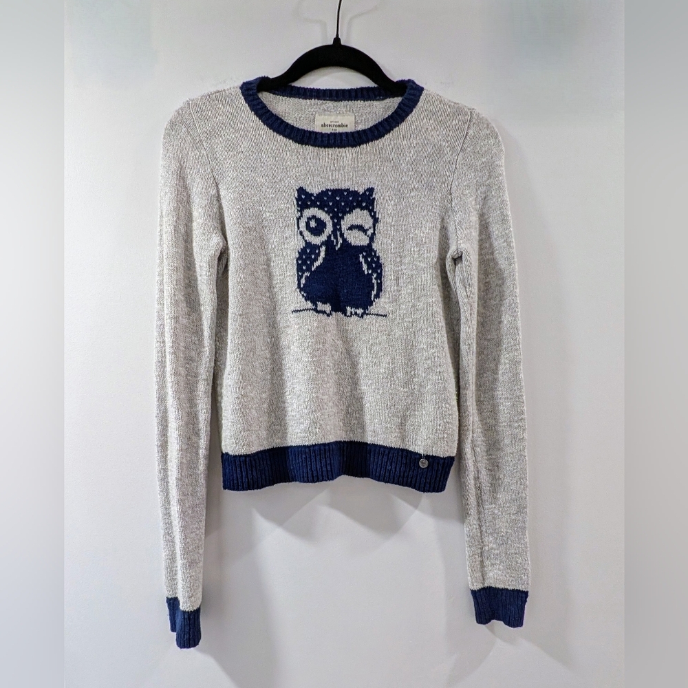 Abercrombie Gray and Blue Owl Sweater